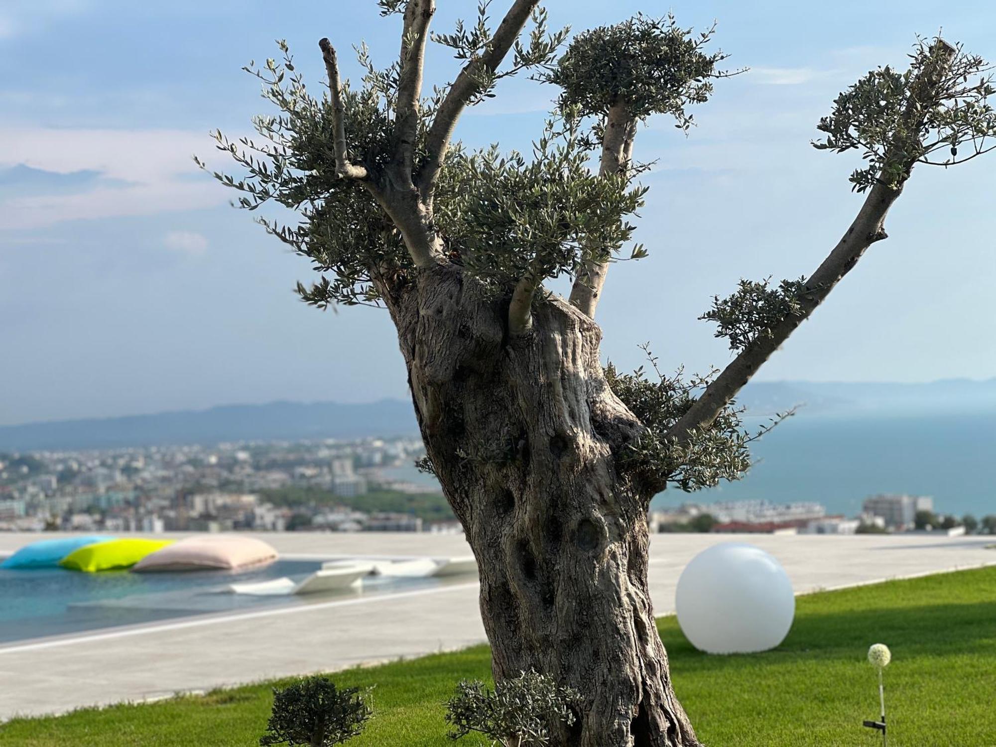 Villa Esmi Durres Kryemëdhej Exterior foto