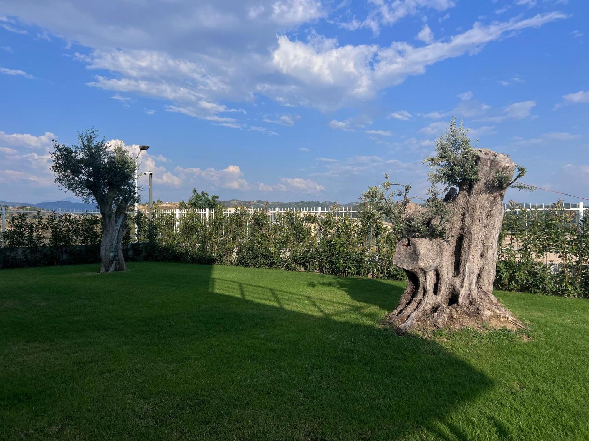 Villa Esmi Durres Kryemëdhej Exterior foto